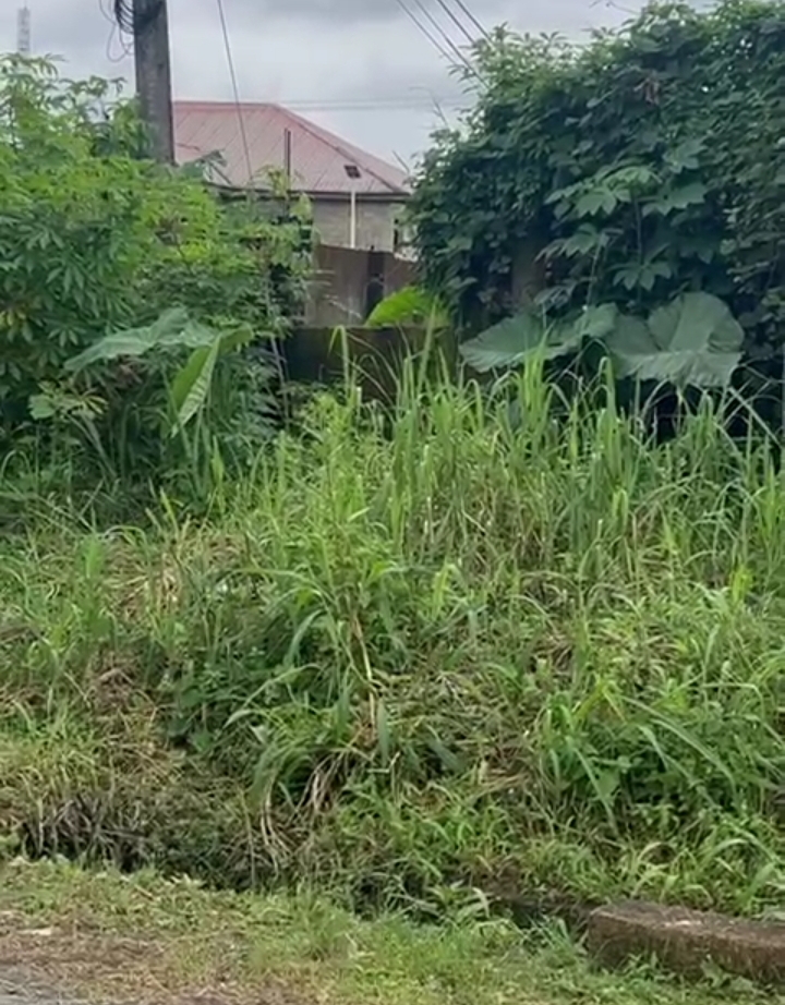 Land for sales: 801sqms plot of land in Akwa savings and loans Estate, Uyo